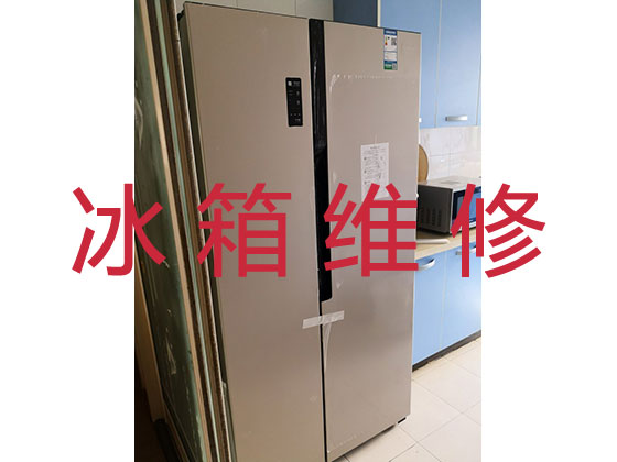 深圳冰箱冰柜维修服务